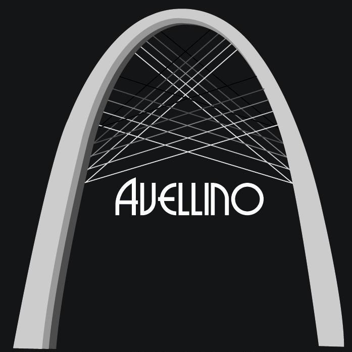 Avellino Construction and Property Management