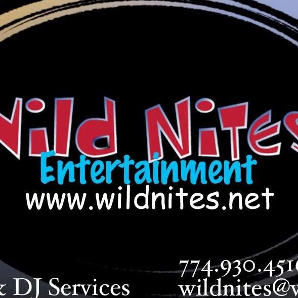 Wild Nites Entertainment (DJ & Band)