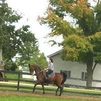 Vantage Point Equestrian Center