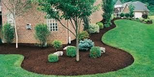 Freshly mulched landscaping bed.