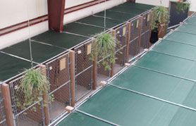 Dog kennels