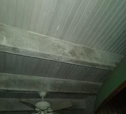 Mold Remediation - before pic
