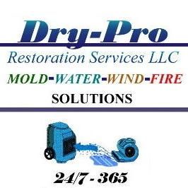 Dry-Pro Restoration Svc