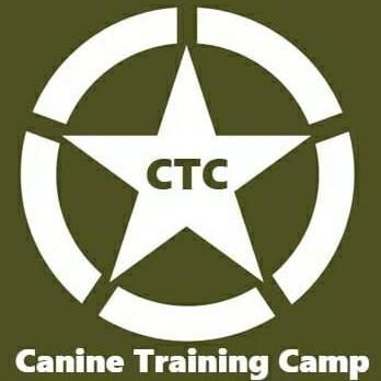 Canine Training Camp