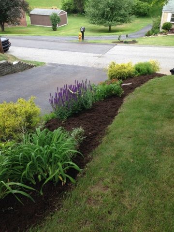 Landscaping completed 2015