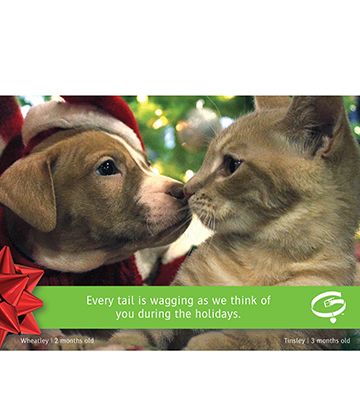 Greenville Humane Society (Greenville, SC) marketi