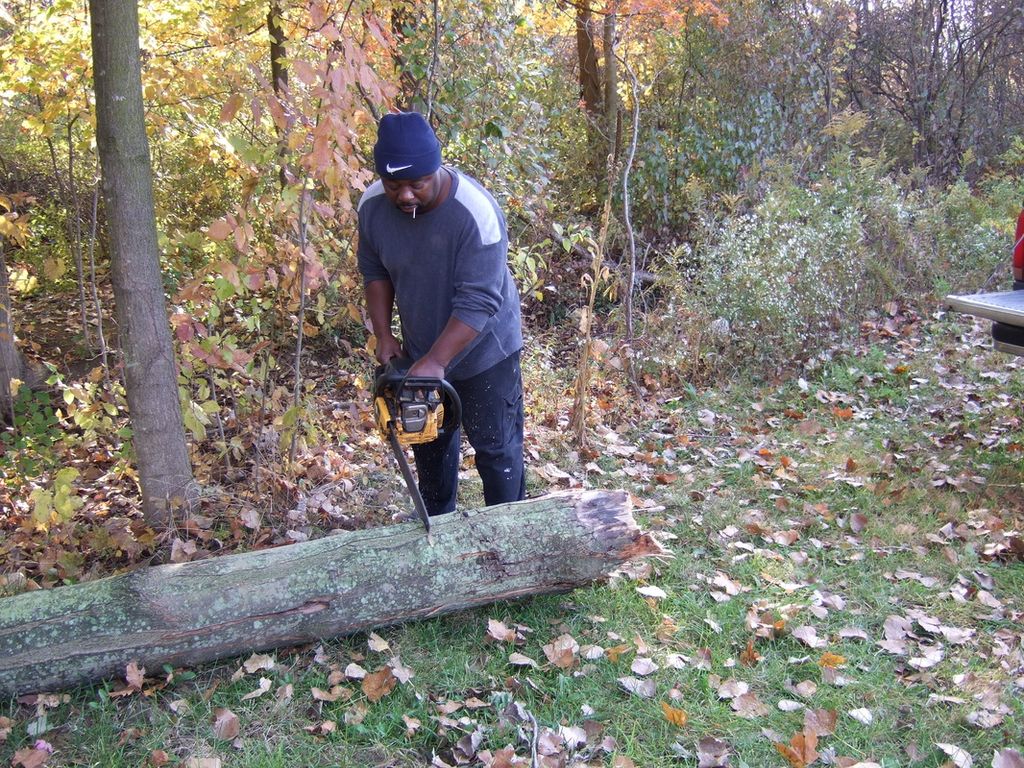 Tree cutting