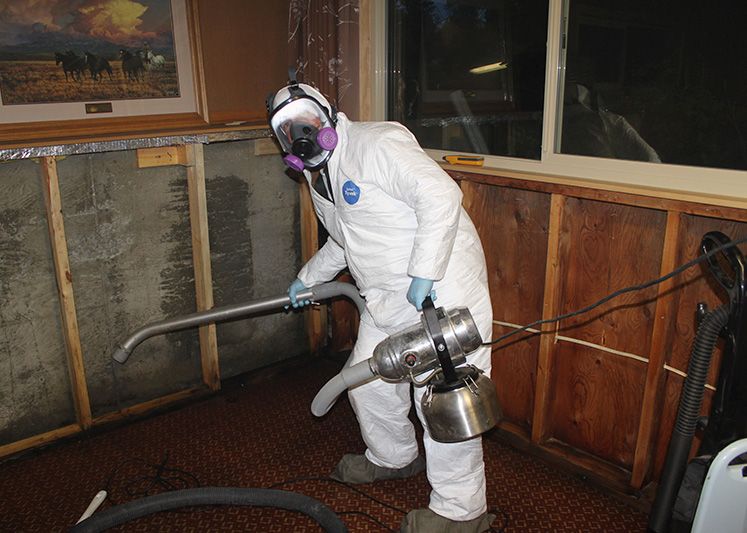 Mold removal