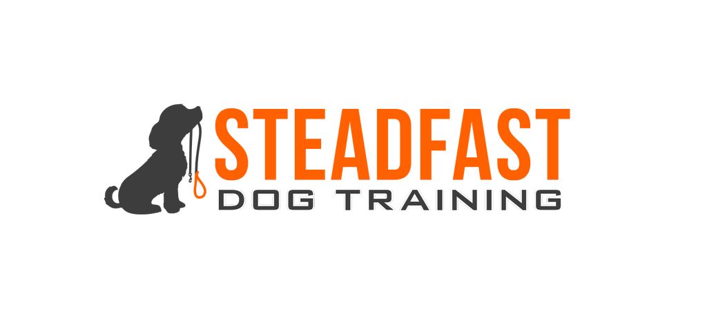 Steadfast Dog Training and Pet services