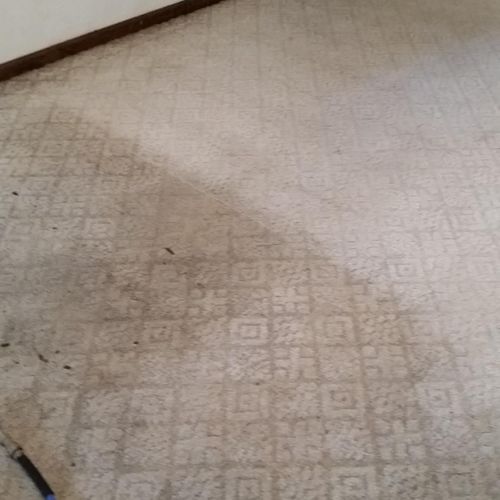 Our cleaners can make old carpets look brand new!