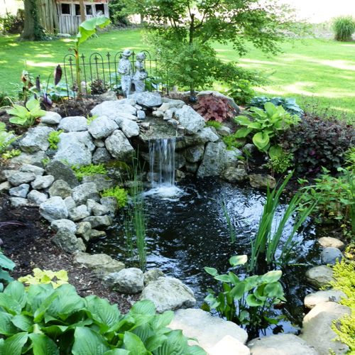 Koi pond with waterfall and bog area for a complet