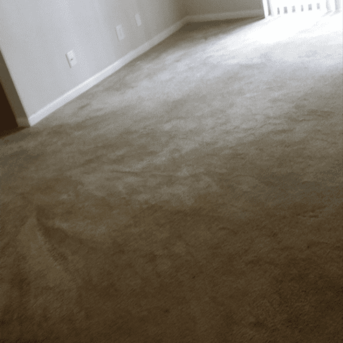 Basic 1bd/1bth Apt move out cleaning- No Steam cle