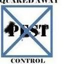 Squared Away Pest Control, Inc