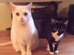 Here are two happy clients, Bootie and Wendy!