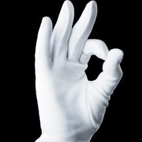 Janet's White Glove Services