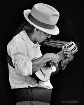Live Concert