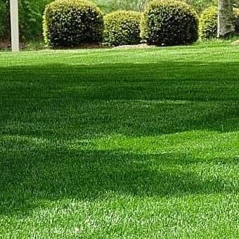 D&B Lawn and Landscaping