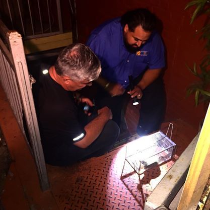 on set with univision Spanish news 
August 2014