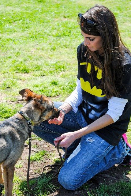 Helping Ginger develop positive associations with 