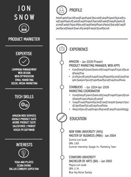 Example Resume Format