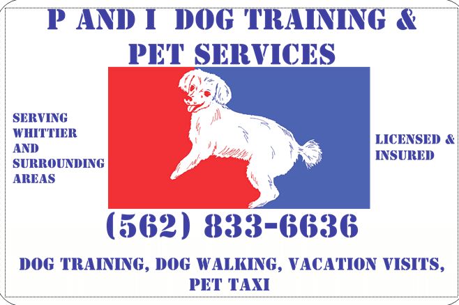 P&I Dog Training and Pet Services