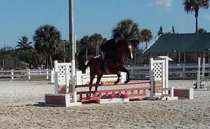 Hunter/Jumper Competition.