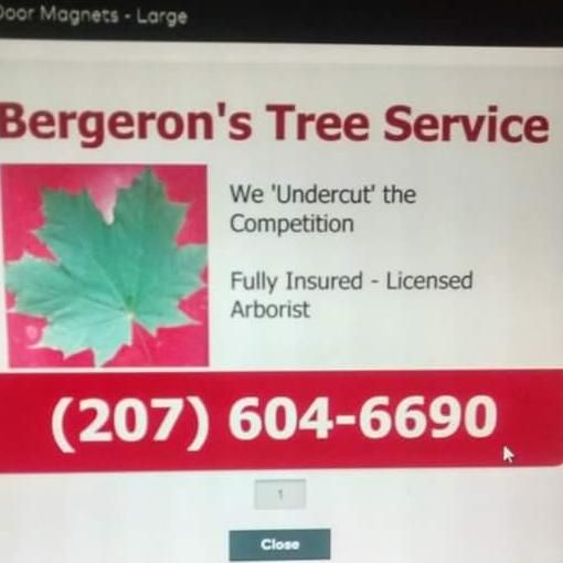 Bergeron's Tree Service