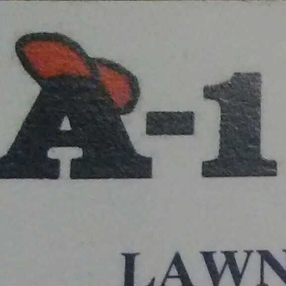 A-1 termite and pest control