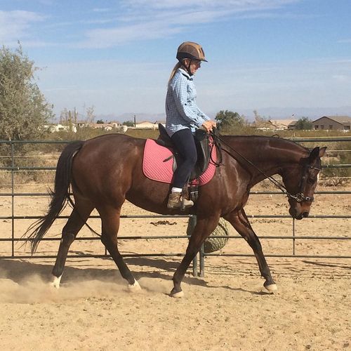 Yvonne riding Thoroughbred mare, Timely Mandate.