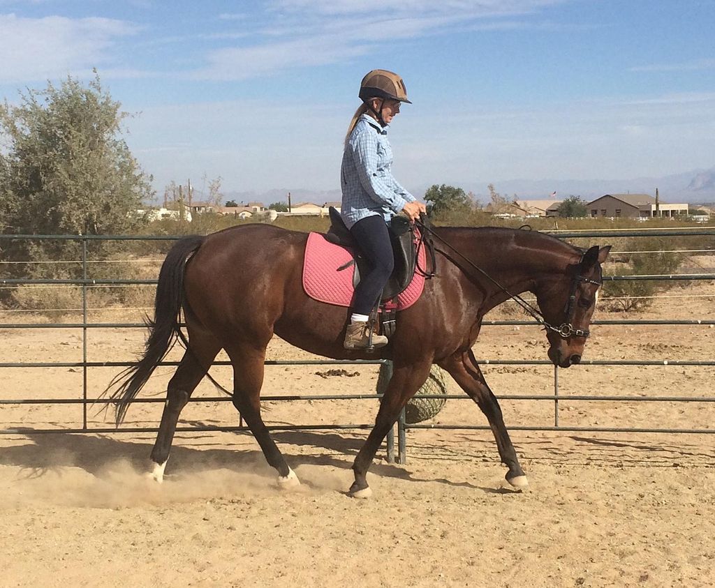 Yvonne riding Thoroughbred mare, Timely Mandate.