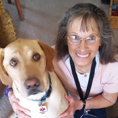 Avatar for Best Friends Dogs, Training and Behavior
