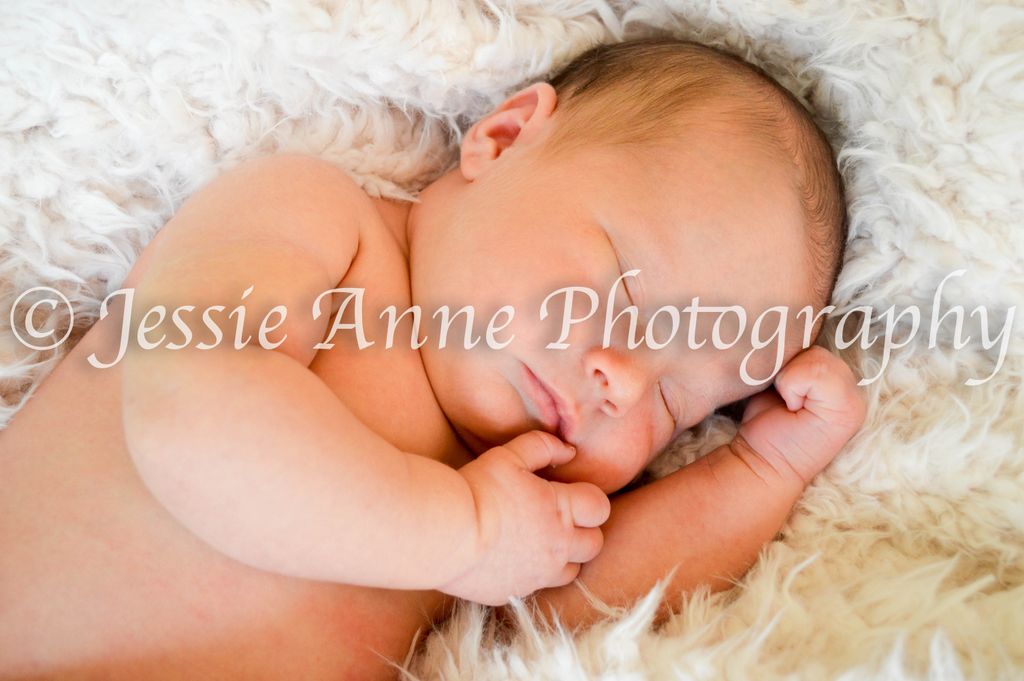 Jessie Anne Photography