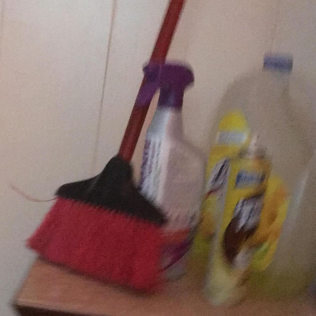 A Clean Sweep Sophia