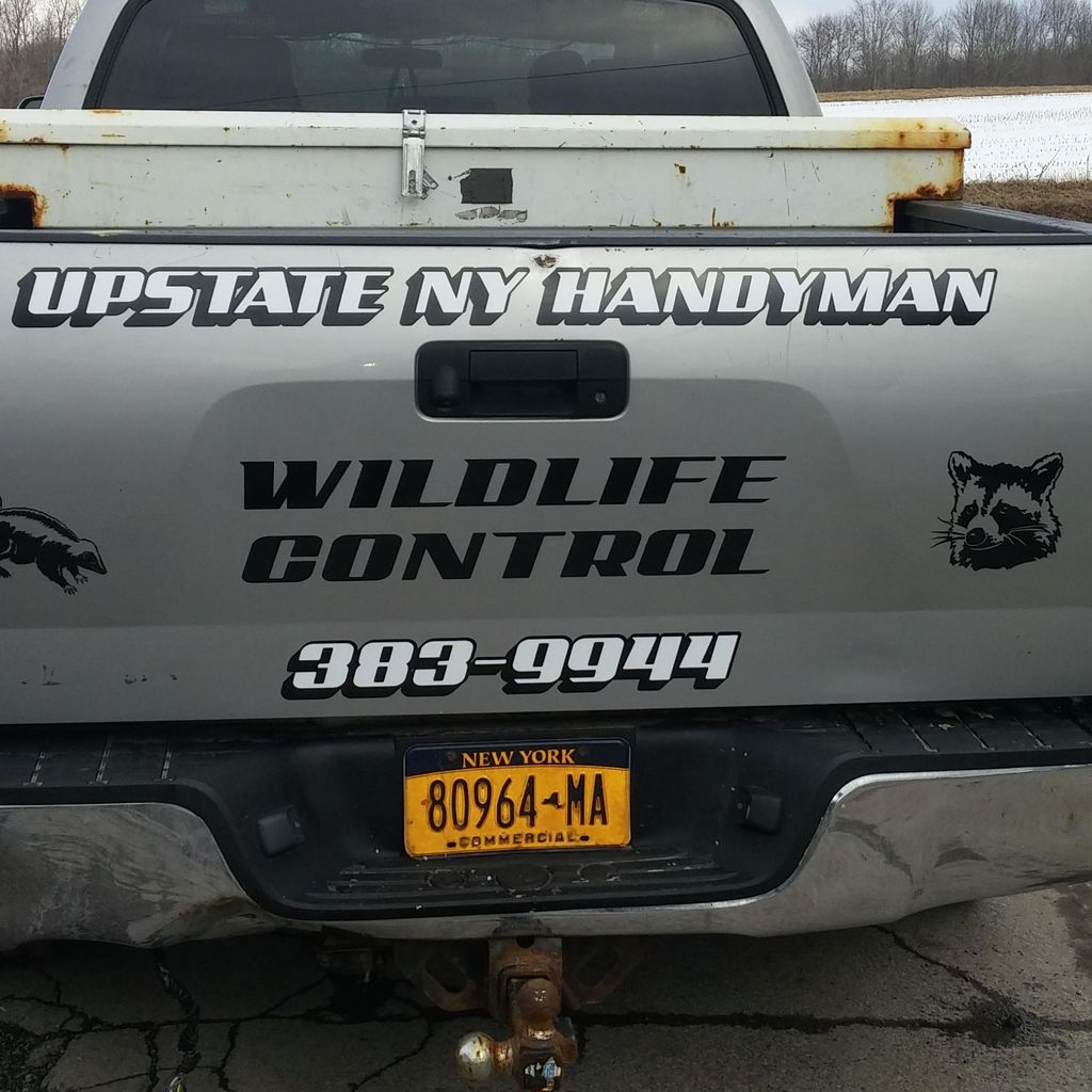 Up State NY Handyman