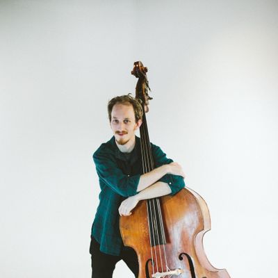 Avatar for Harry D'Agostino