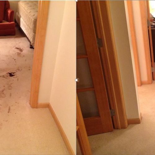 This was a heavily stained carpet that we were abl