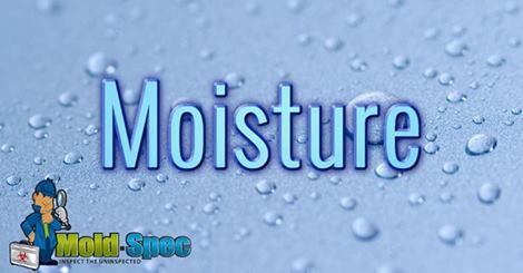Do you know what the leading cause of Mold is? Tha