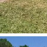 RC Property Renovation LLC