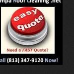 Tampa Roof Cleaning