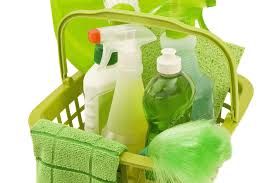 keeping your home spotless.