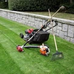 Pharis Lawn Care & Maintenance