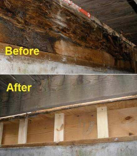 Before and after pictures depicting dry rot repair