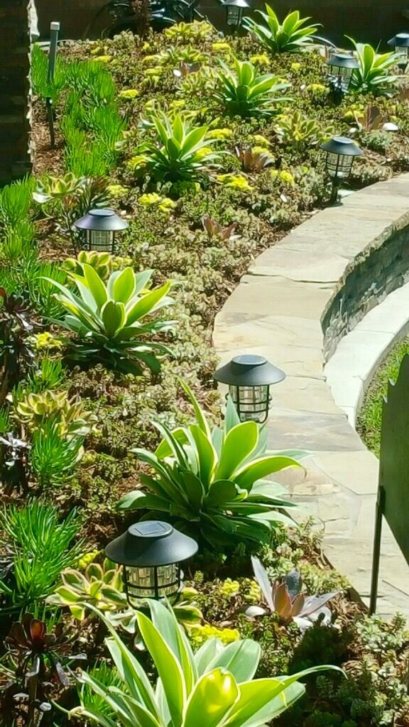 Front Yard Conversion to Low Maintenance/drought t