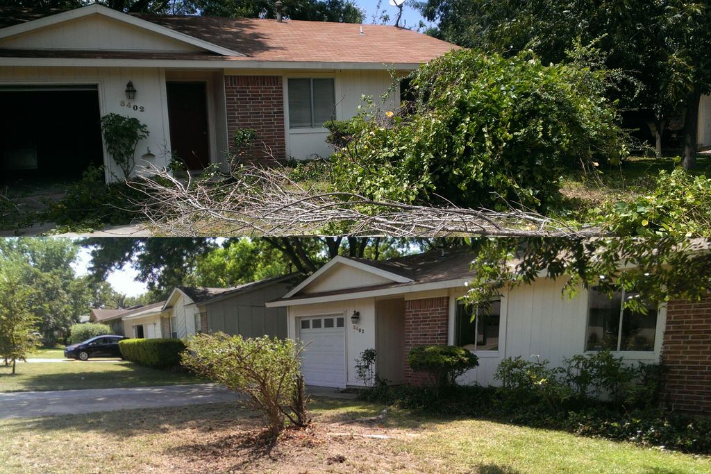 Yard work; mowing, tree trimming, maintenance