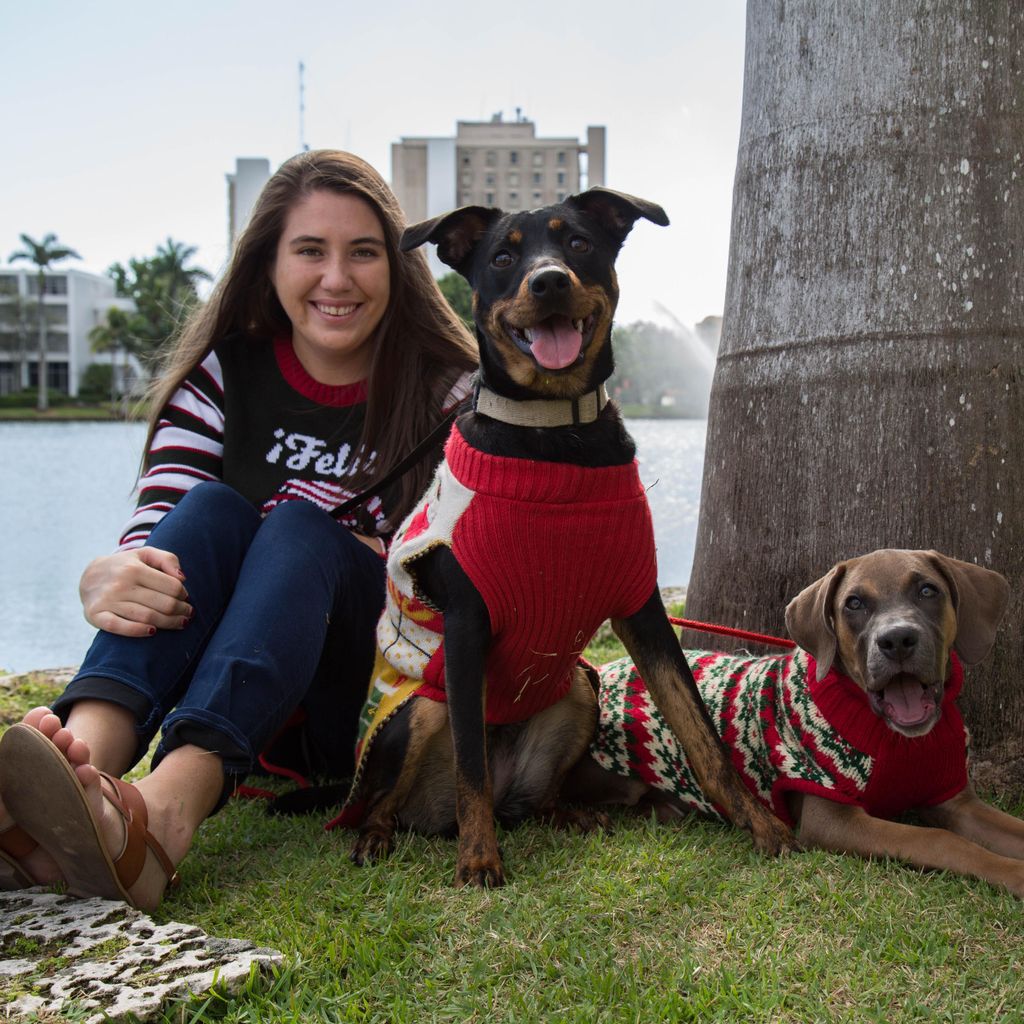 Expedition Paws Dog Training