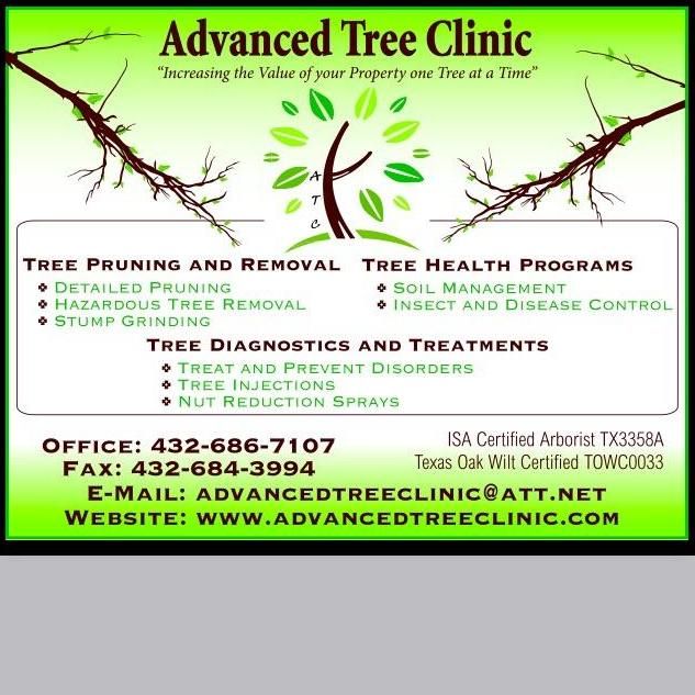 Advanced Tree Clinic