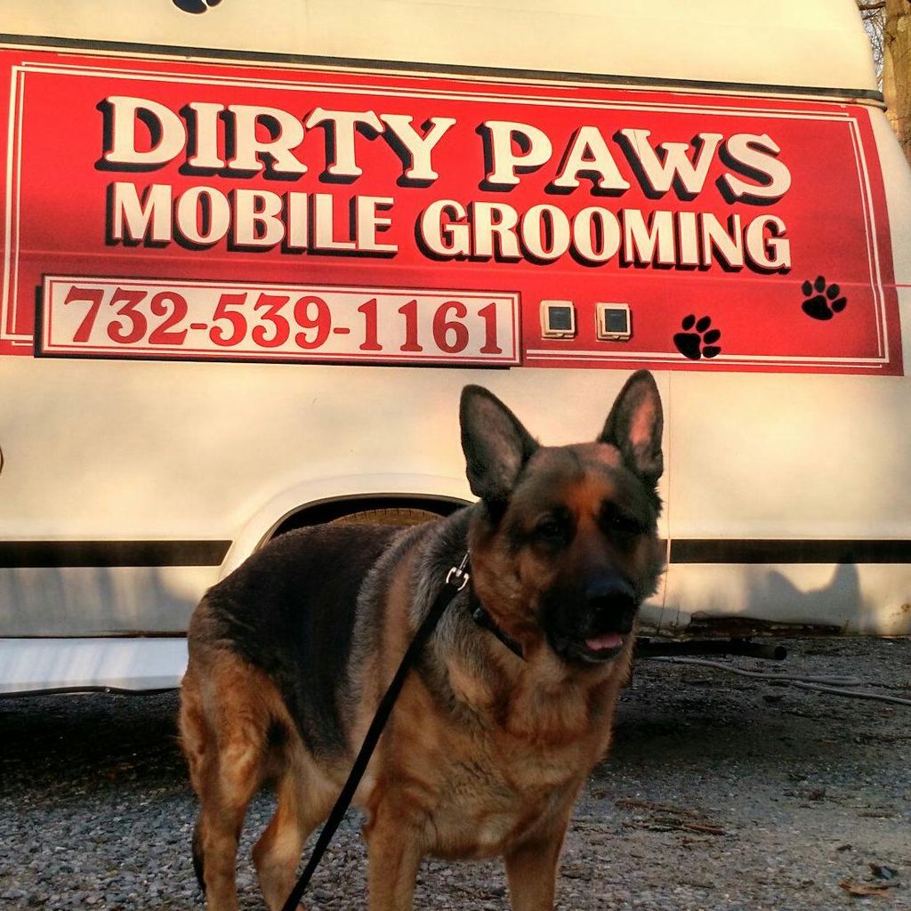 Dirty Paws Mobile Grooming
