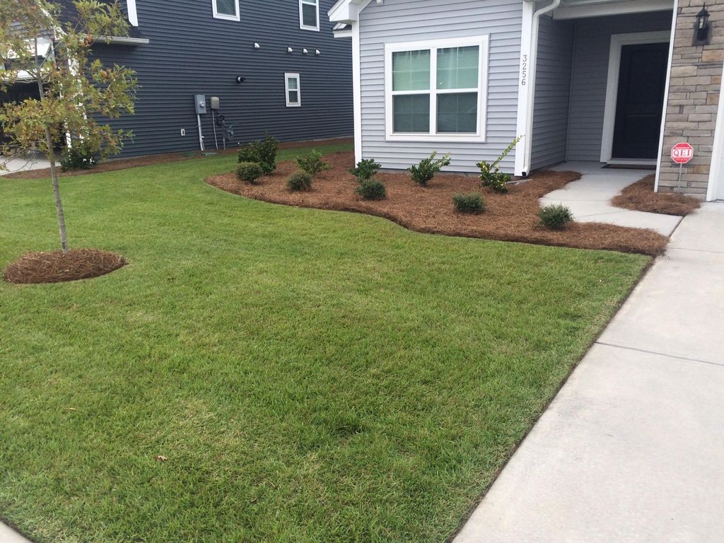 Residential lawn maintenance 