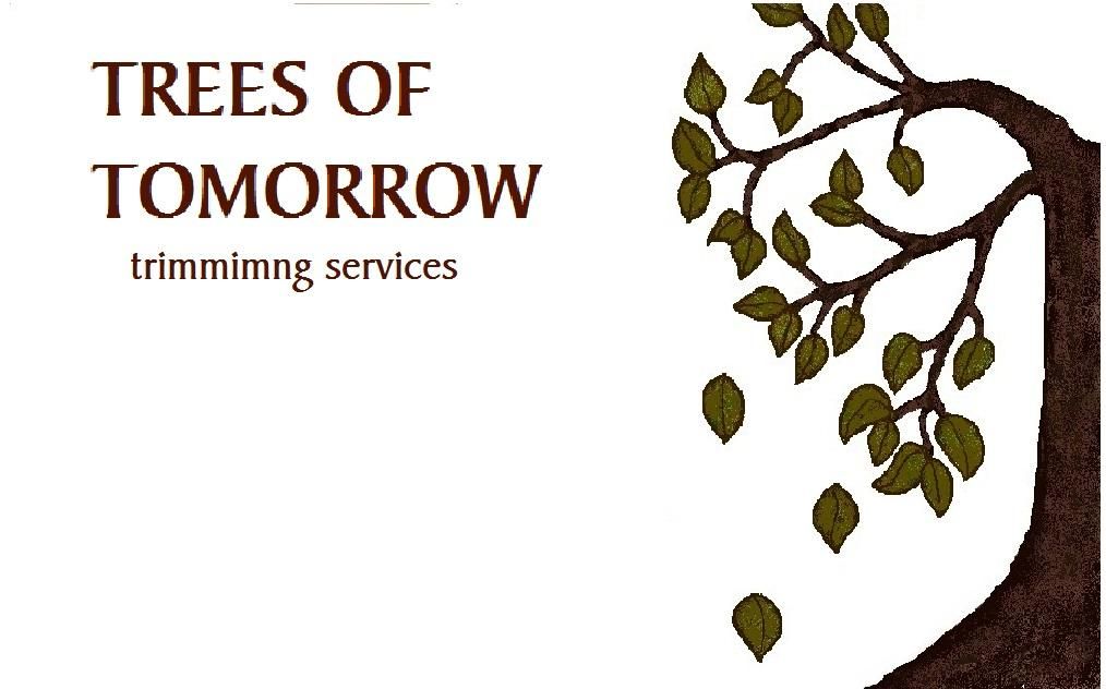 Trees of Tomorrow trimming services