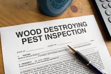 We do wood destroying pest inspections.